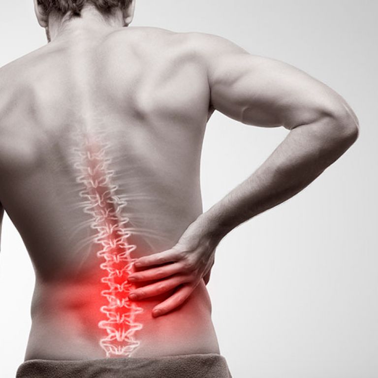 Anatomía de la espalda: Columna y músculos de la espalda